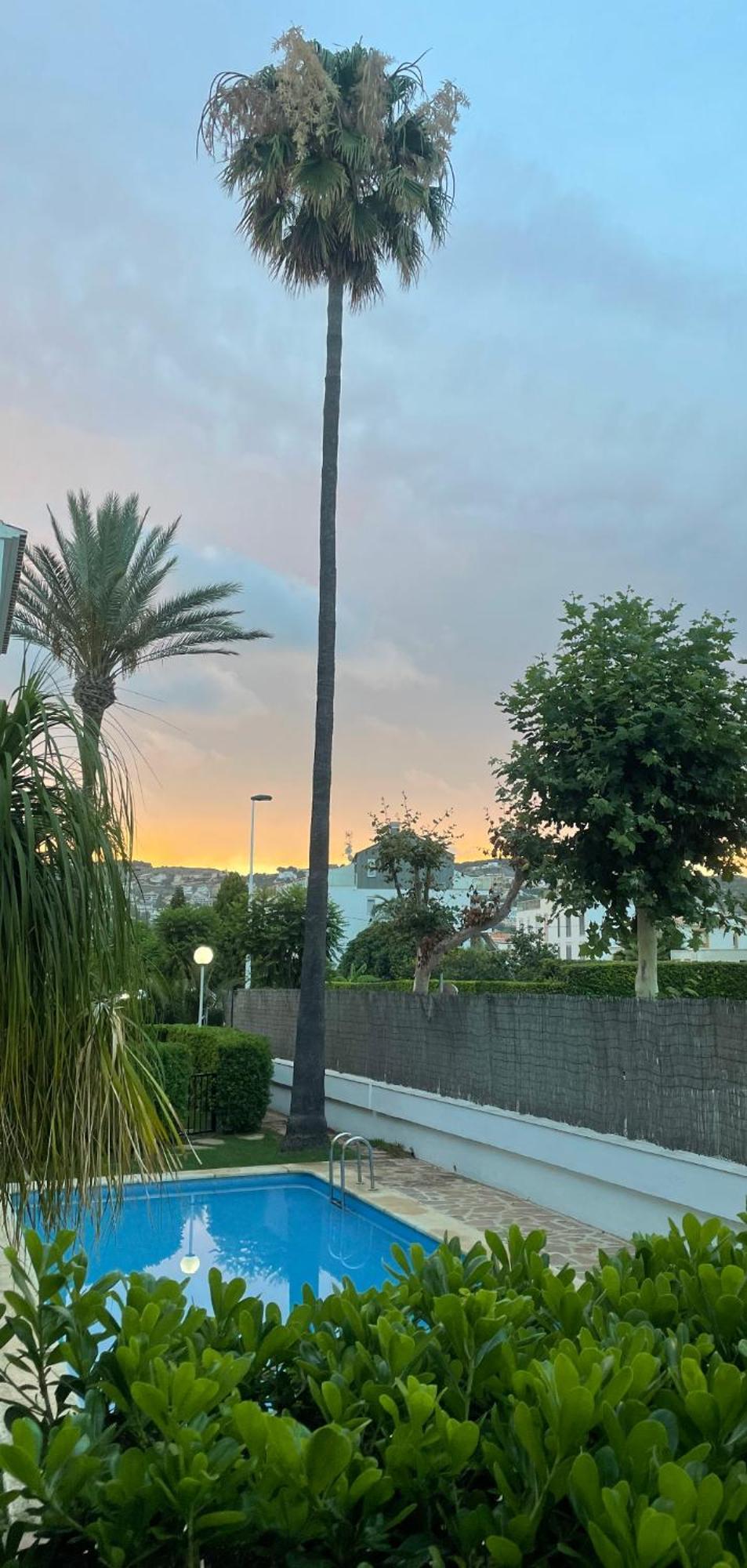 Casa Ole Διαμέρισμα Γιαβέα Εξωτερικό φωτογραφία